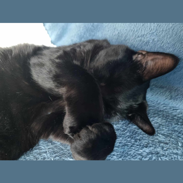Photo of Charlotte