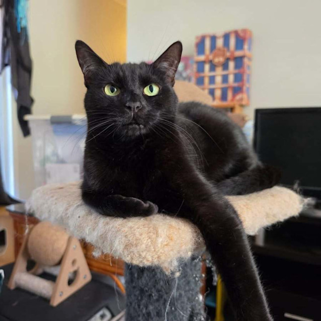Photo of Miracle 
