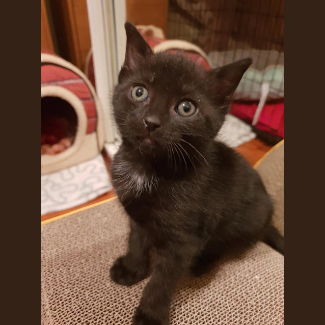 Photo of Theresa (Cilla)
