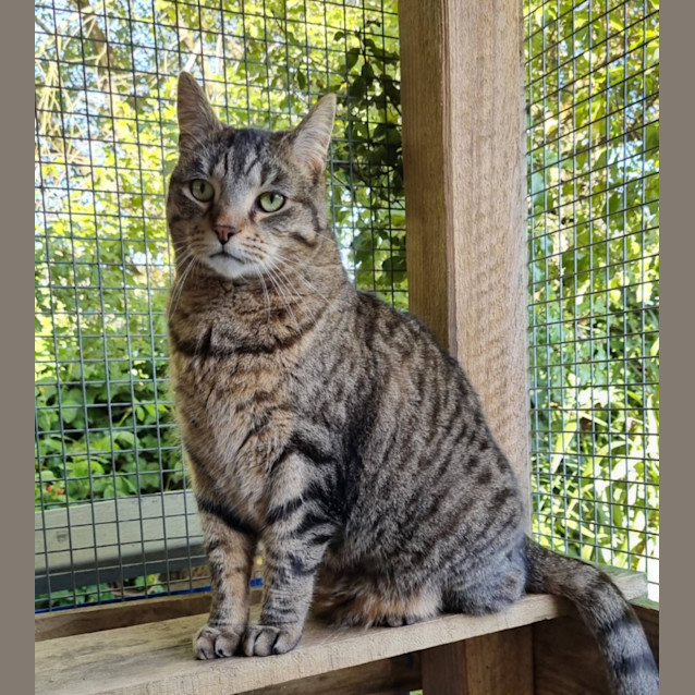 Photo of Archie