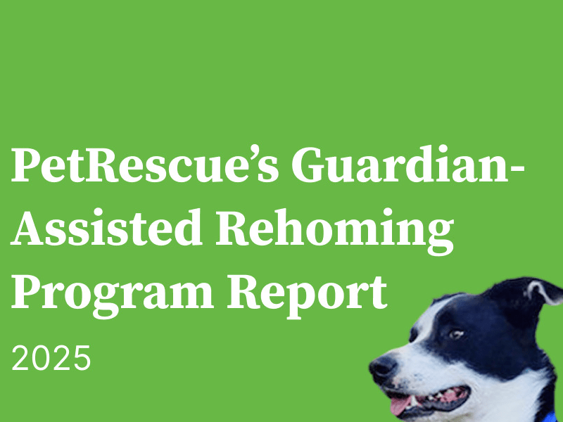 Finding another way home - Home2Home insights