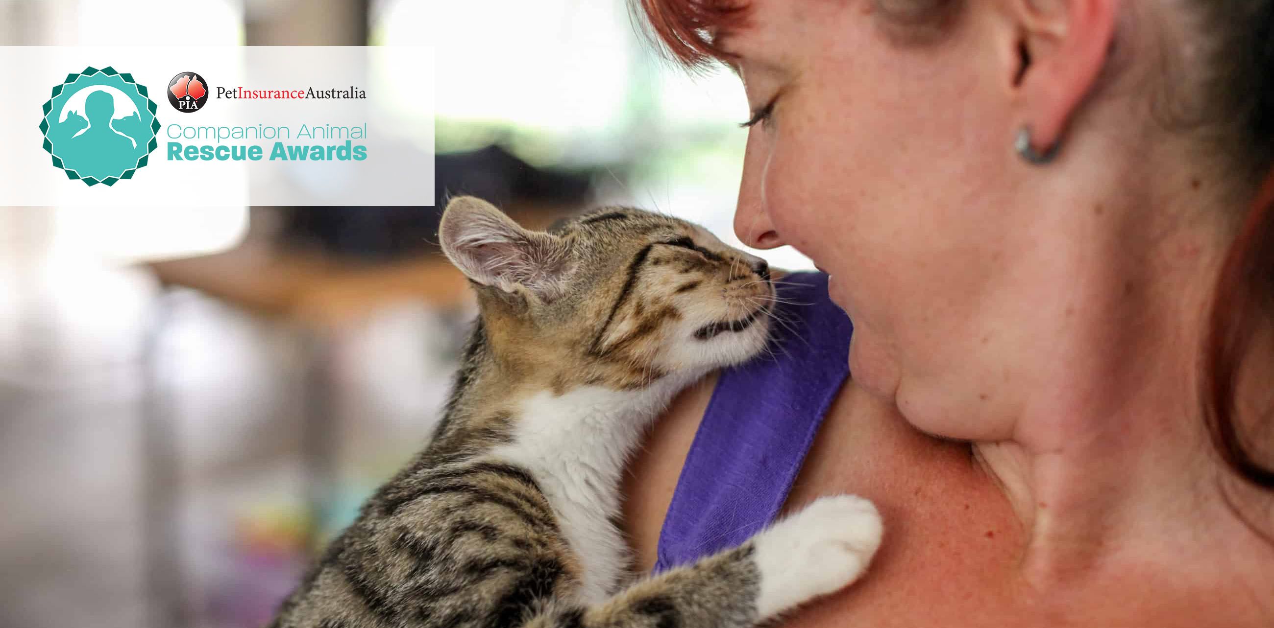 Submissions are now open for the 2021 Companion Animal Rescue Awards - PetRescue Submissions are now open for the 2021 Companion Animal Rescue Awards - PetRescue