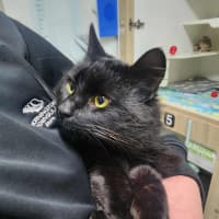 Photo of 🐻 Severus 6267 🐻