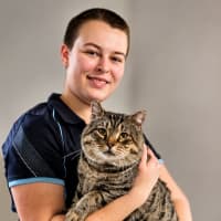 Photo of Chonky