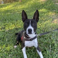 Photo of Winnie