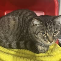 Photo of Jasper