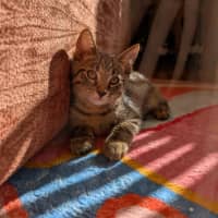 Photo of Tim Tam