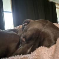 Photo of Benito