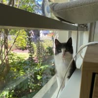 Photo of Summer 