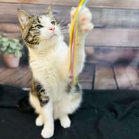 Photo of Coffee   Located In Thornbury