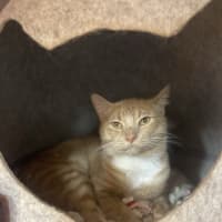 Photo of Loui