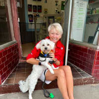 Photo of Celine   10 Month Old Maltese X Shih Tzu (Trial)