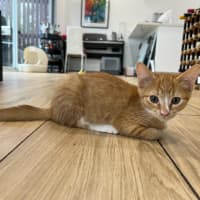 Photo of Isla