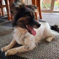 Photo of Betsy Moriarty