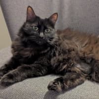 Photo of Fisher