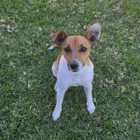 Photo of Chevy