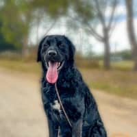 Photo of Kozzy 