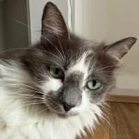 Photo of Marlo 