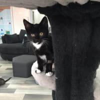 Photo of Hershey   Located In Bentleigh East