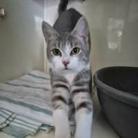Photo of Sneezy
