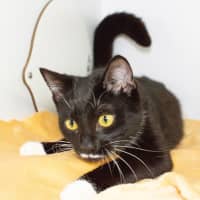 Photo of Tuna