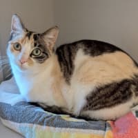 Photo of Seraphina