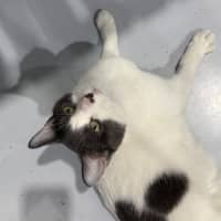 Photo of Pablo 🌟🌴