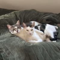 Photo of Cloud & Pebble