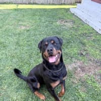 Photo of Murphy