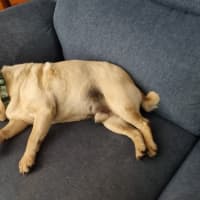 Photo of Doug