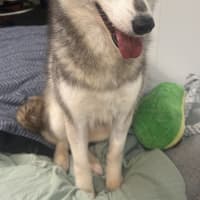 Photo of Miss Grayson