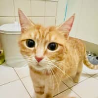 Photo of Bertha