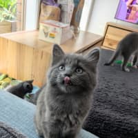 Photo of Storm