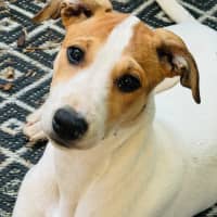 Photo of Quinnie