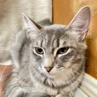 Photo of Edith 