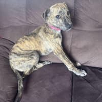 Photo of Zara