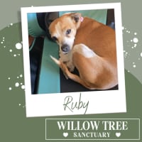 Photo of Ruby