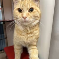 Photo of Aleister 