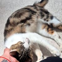 Photo of April (9172)