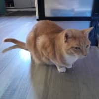 Photo of Elio