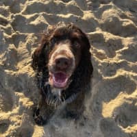 Photo of Khai Illingworth