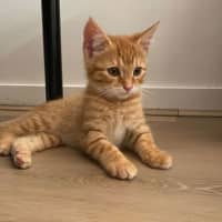 Photo of Ory