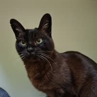 Photo of Kiki
