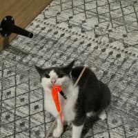 Photo of Stu / Sophie