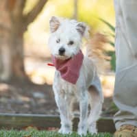 Photo of Jack Sprout