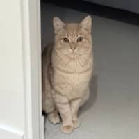 Photo of Felix