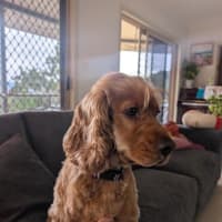 Photo of Walter