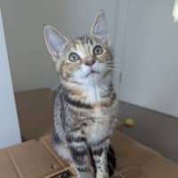 Photo of Blanche Golden