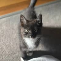 Photo of Edgar