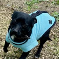 Photo of Scott (Turbo)